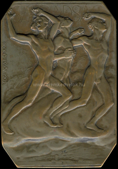 1905 Beck . Flp: Petfi Sndor bronz rem