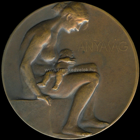 1906 Telcs Ede: Anyasg bronz plakett