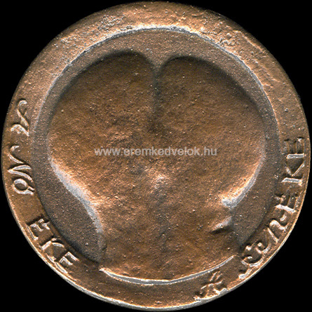 2016 Lapis Andrs: A n KE a fen-KE  I